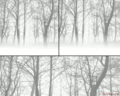 Tlenix 06.gif