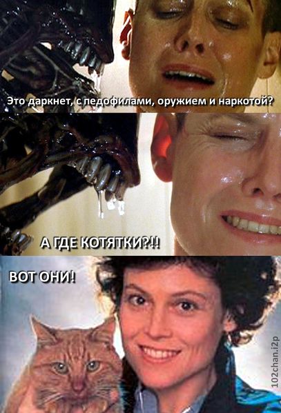 Файл:Alien kotyatki.jpg