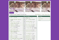 333-site.PNG
